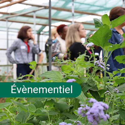 Team-building solidaire dans une association d’insertion professionnelle des femmes